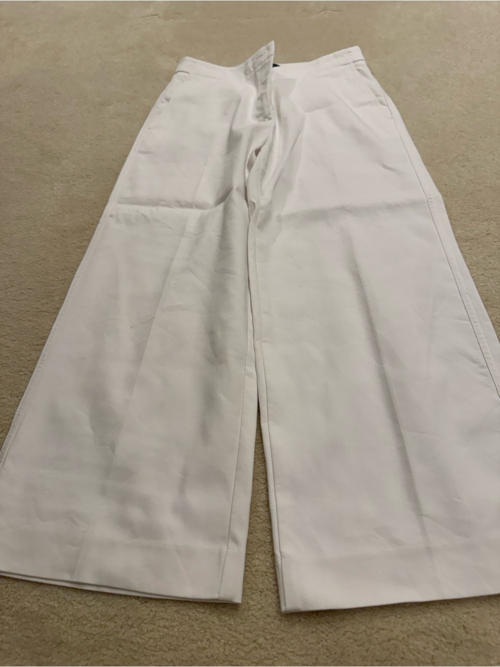 Ann Taylor Kate Wide Leg Pants